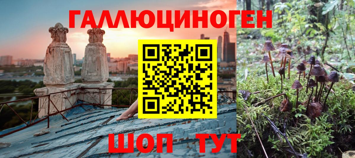 закладки  Псилоцибиновые грибы ЛСД  Вход с VPN  Галлюциногенные грибы прущие грибы  Бузулук 